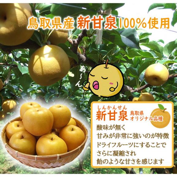新甘泉 ドライフルーツ  やわらかドライフルーツ（2パックセット）送料無料 無添加 鳥取県産 [常温]　お試し【メール便・代金引換不可・同梱不可】ドライなしあわせ 梨 03