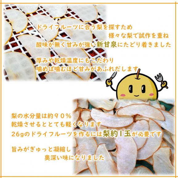 新甘泉 ドライフルーツ  やわらかドライフルーツ（2パックセット）送料無料 無添加 鳥取県産 [常温]　お試し【メール便・代金引換不可・同梱不可】ドライなしあわせ 梨 04