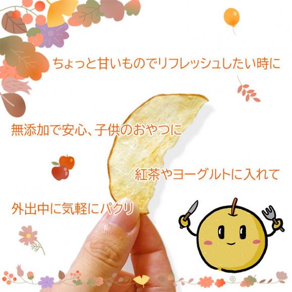 新甘泉 ドライフルーツ  やわらかドライフルーツ（2パックセット）送料無料 無添加 鳥取県産 [常温]　お試し【メール便・代金引換不可・同梱不可】ドライなしあわせ 梨 05
