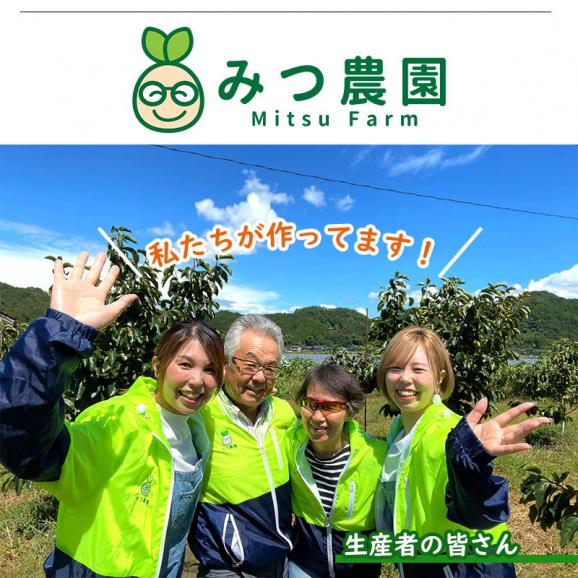 むげん干し柿 西条柿ドライフルーツ（2パックセット）【鳥取県 みつ農園産】送料無料 [常温]【メール便・代金引換不可・同梱不可】柿 西条柿 干し柿05