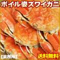 【ボイル姿ズワイガニ大サイズ】迫力の３ｋｇ（5-6尾入）送料無料！[冷凍]身入り抜群プリップリのカニ脚と濃厚な蟹みそ！お歳暮　ギフト