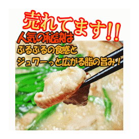 【もつ鍋】大人気！鮮度バツグン！ ホソ300g+スープのモツ鍋セットが 送料無料！