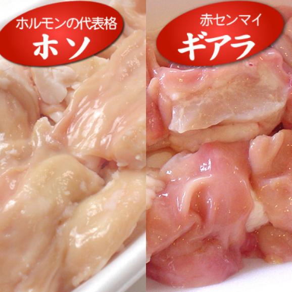 もつ鍋 国産 黒毛和牛 阿波黒牛 もつ鍋セット 白ホルモン300g+オリジナルスープ付き セット 送料無料 ホソ 小腸 ギアラ 産地直送 鮮度バツグン02