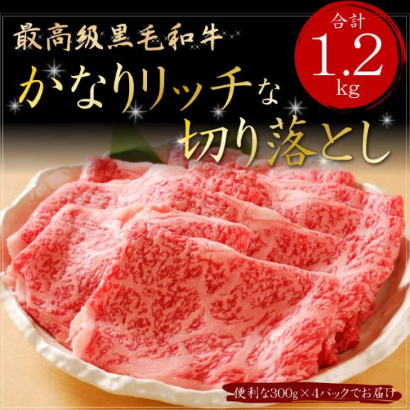 「阿波牛の藤原」黒毛和牛＜かなりリッチな切り落とし＞300g×4パック　合計1.2kg　しかも送料無料02