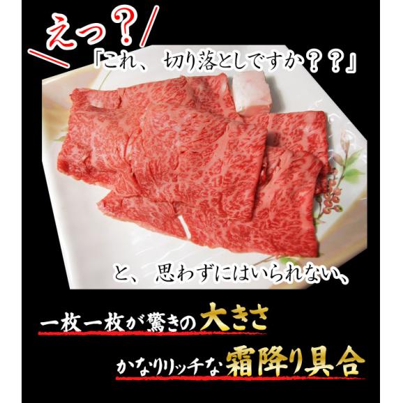 「阿波牛の藤原」黒毛和牛＜かなりリッチな切り落とし＞300g×4パック　合計1.2kg　しかも送料無料04