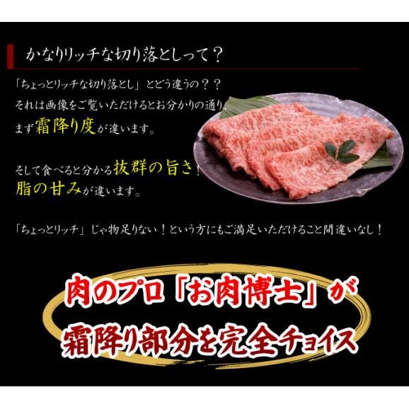 「阿波牛の藤原」黒毛和牛＜かなりリッチな切り落とし＞300g×4パック　合計1.2kg　しかも送料無料05