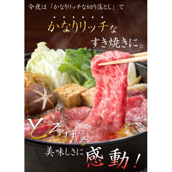 「阿波牛の藤原」黒毛和牛＜かなりリッチな切り落とし＞300g×4パック　合計1.2kg　しかも送料無料06
