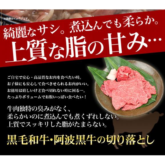 どぉ~んと合計1.5kg! 【送料無料】 黒毛和牛 阿波黒牛 ちょっとリッチな切り落とし(300g×5パック)! 切り落とし 肉 牛肉 国産 すき焼き02