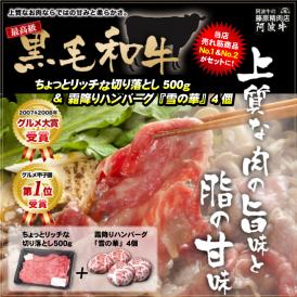 【送料無料】ちょっとリッチな切り落とし500g+霜降りハンバーグ4個セット