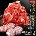 【送料無料】黒毛和牛 阿波黒牛 ちょっとリッチな切り落とし500g+霜降りハンバーグ4個セット