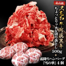 【送料無料】黒毛和牛 阿波黒牛 ちょっとリッチな切り落とし500g+霜降りハンバーグ4個セット