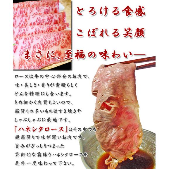 【送料無料】黒毛和牛最高の霜降り!ハネシタロースしゃぶしゃぶ用500g02