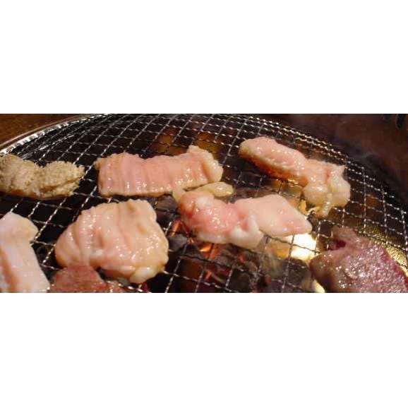  新鮮！栄養満点！ 黒毛和牛 阿波黒牛 ぷるぷるホソ（小腸）100g 大トロホルモン03