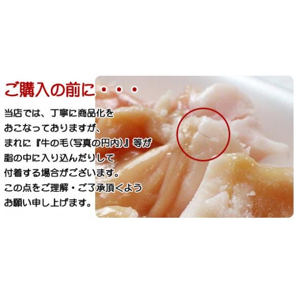  新鮮！栄養満点！ 黒毛和牛 阿波黒牛 ぷるぷるホソ（小腸）100g 大トロホルモン05