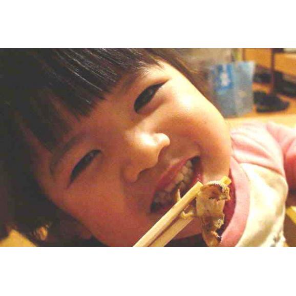 新鮮!栄養満点!産地直送! 黒毛和牛 阿波黒牛 プリプリセンマイ100g02