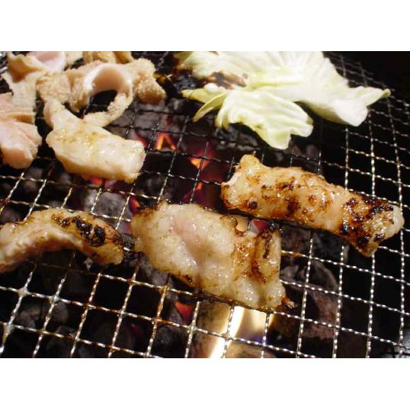 新鮮！栄養満点！産地直送！ 黒毛和牛 阿波黒牛 「阿波牛の藤原」 ホルモンセット02