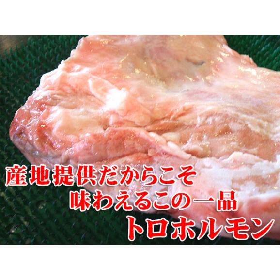 黒毛和牛 阿波黒牛 トロホルモン~すい臓~産直提供だからこそ味わえる一品焼肉用200g入り♪04