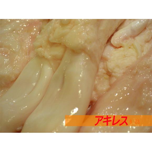 黒毛和牛 阿波黒牛 アキレス 1kg おでんにどうですか？コラーゲンたっぷり♪お肌ツルツル02