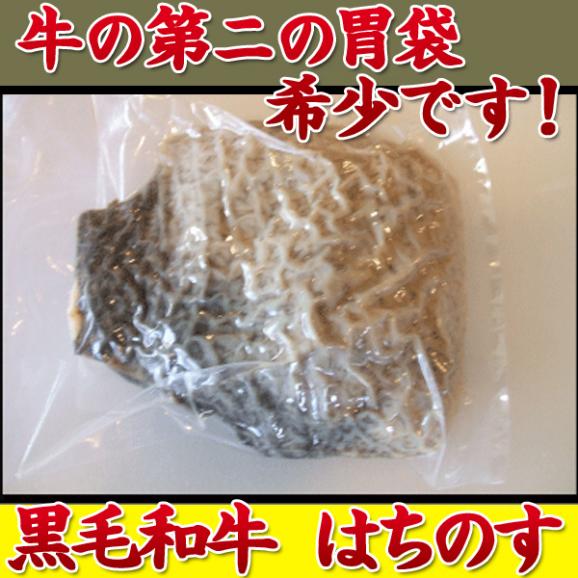  黒毛和牛 阿波黒牛 ☆　はちのす　☆　希少　「牛の第二の胃袋です」ブロック　約600g　ハチノス ホルモン02