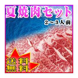 焼肉セット（２～３人前）！海や山でＢＢＱはいかが？  【送料無料】お財布も安心・産地直送～黒毛和牛「阿波牛の藤原」　たっぷりの600g（2～3人前）♪特選焼肉400ｇ・厚切りベーコン200g