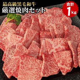 黒毛和牛 焼肉 食べ比べ セット バーベキュー 肉 ＢＢＱ セット 焼き肉セット 焼き肉