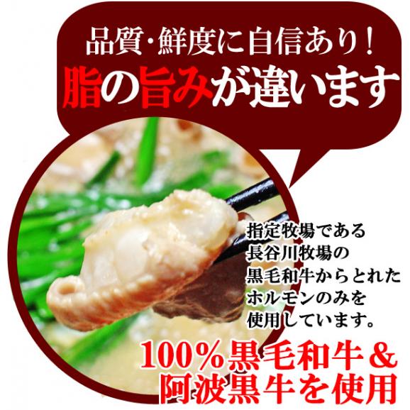 もつ鍋 国産 黒毛和牛 阿波黒牛 もつ鍋セット (4～5人前) 白ホルモン(ホソ＆ギアラ)合計1kg+オリジナルスープ付き セット メガ盛り モツ鍋 送料無料 産地直送 鮮度バツグン03