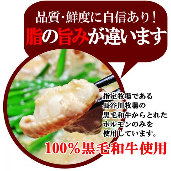 もつ鍋 国産 黒毛和牛 もつ鍋セット (4～5人前) 白ホルモン(ホソ＆ギアラ)合計1kg+オリジナルスープ付き セット メガ盛り モツ鍋 送料無料 産地直送 鮮度バツグン03