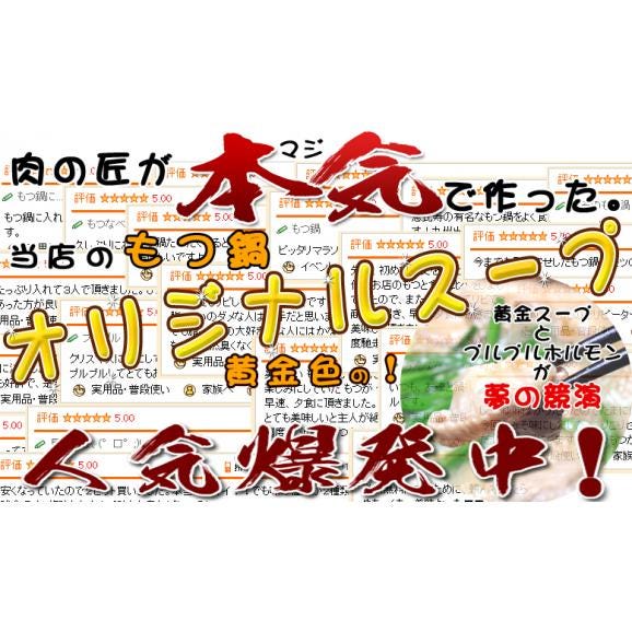 もつ鍋 国産 黒毛和牛 もつ鍋セット (4～5人前) 白ホルモン(ホソ＆ギアラ)合計1kg+オリジナルスープ付き セット メガ盛り モツ鍋 送料無料 産地直送 鮮度バツグン05