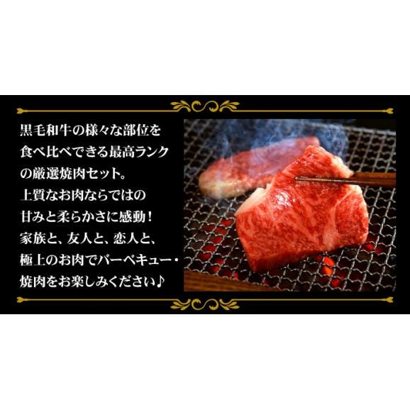 送料無料 黒毛和牛 厳選焼肉セット 5種 400g 希少部位 入り 焼肉 食べ比べ 最高級 バーベキュー 肉 セット 福袋 BBQ 食べ物 ギフト プレゼント02