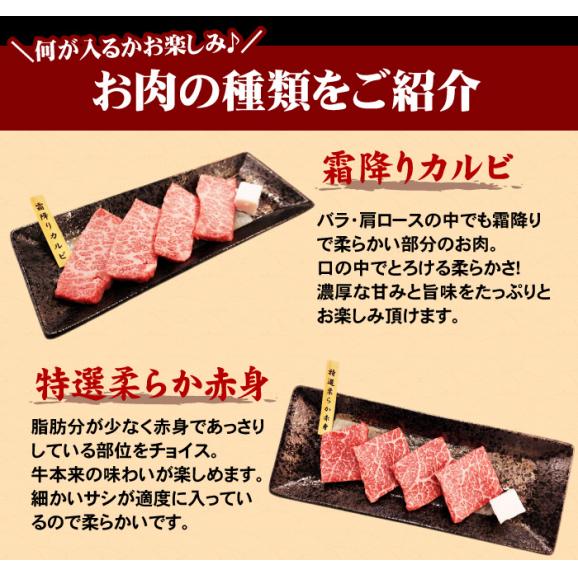 送料無料 黒毛和牛 厳選焼肉セット 5種 400g 希少部位 入り 焼肉 食べ比べ 最高級 バーベキュー 肉 セット 福袋 BBQ 食べ物 ギフト プレゼント03