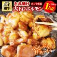 焼肉 ホルモン 黒毛和牛 大トロホルモン ホソ 小腸 たれ漬け 1kg 200g×5パック 送料無料 味付け バーベキュー 肉 国産 BBQ メガ盛り 冷凍便でお届け