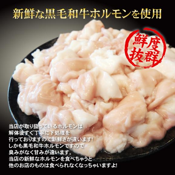 焼肉 ホルモン 黒毛和牛 大トロホルモン ホソ 小腸 たれ漬け 1kg 200g×5パック 送料無料 味付け バーベキュー 肉 国産 BBQ メガ盛り 冷凍便でお届け02