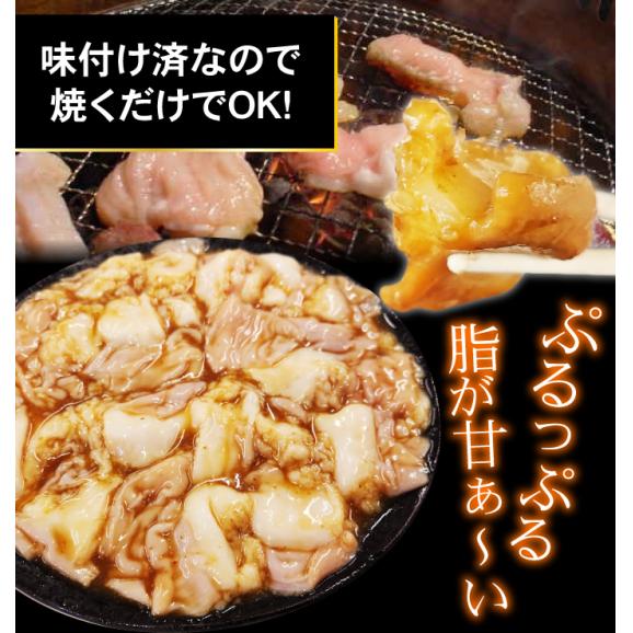 焼肉 ホルモン 黒毛和牛 大トロホルモン ホソ 小腸 たれ漬け 1kg 200g×5パック 送料無料 味付け バーベキュー 肉 国産 BBQ メガ盛り 冷凍便でお届け04