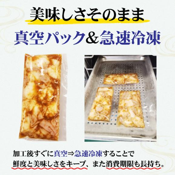 焼肉 ホルモン 黒毛和牛 大トロホルモン ホソ 小腸 たれ漬け 1kg 200g×5パック 送料無料 味付け バーベキュー 肉 国産 BBQ メガ盛り 冷凍便でお届け05