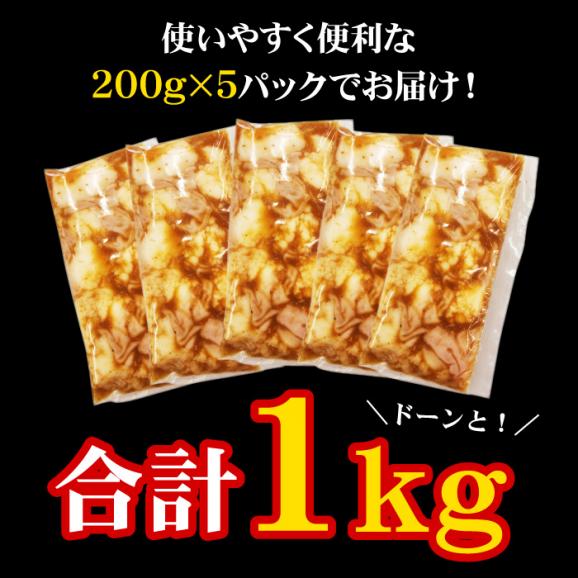 焼肉 ホルモン 黒毛和牛 大トロホルモン ホソ 小腸 たれ漬け 1kg 200g×5パック 送料無料 味付け バーベキュー 肉 国産 BBQ メガ盛り 冷凍便でお届け06