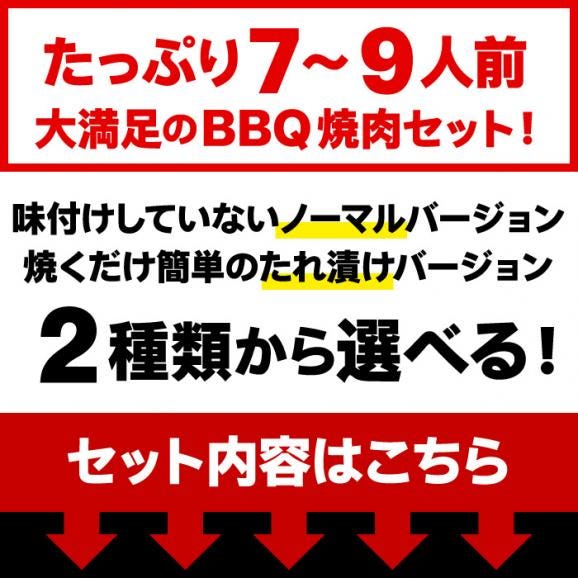 送料無料 焼肉 BBQ セット 合計1.8kg 2個以上でウィンナーおまけ たれ漬け 選べる 焼肉セット バーベキュー 肉 牛肉 豚肉 鶏肉 メガ盛り 冷凍便02