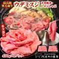 送料無料 黒毛和牛 ウデミスジ 450g×2パック 合計900g すき焼き肉 しゃぶしゃぶ 肉 牛肉 すき焼き 希少部位 国産 うでみすじ 最高級 霜降り