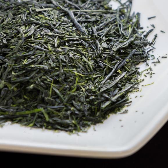 鹿児島新茶詰合せ KS-31002