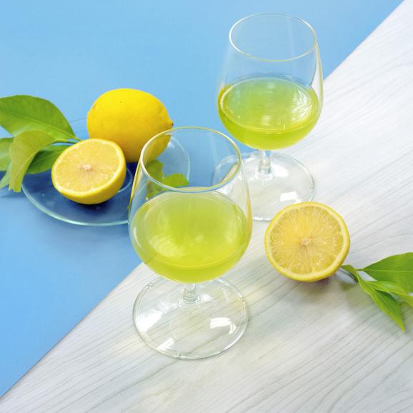 冷茶 れもん緑茶ティーパック 5g&times;15袋入(大容量タイプ)02