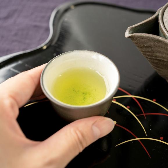 【福寿園】熟成玉露 40g袋入03