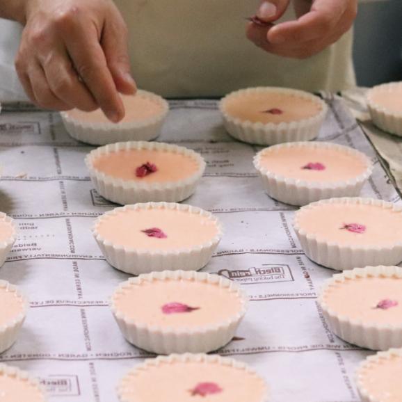 【1日限定5箱】武蔵野マドレーヌ<桜>(10個入り)05