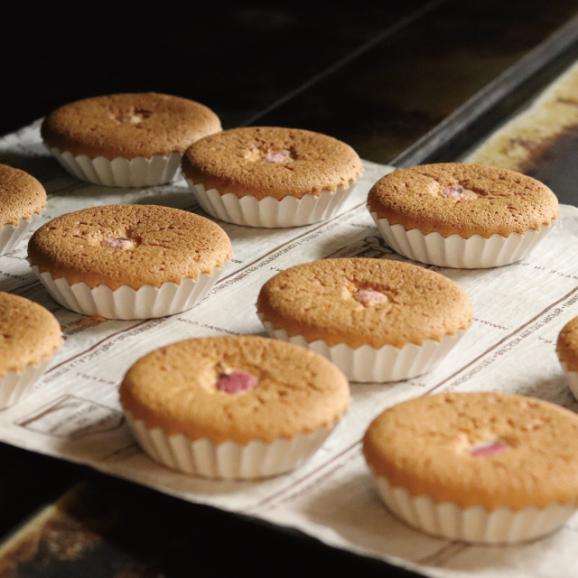 【1日限定5箱】武蔵野マドレーヌ<桜>(10個入り)06