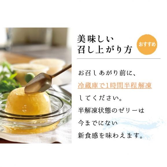 フローズン 梅ゼリー〈6個入〉03