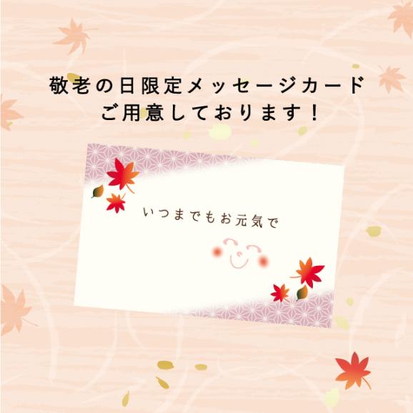 【9/5まで早期ご予約割引10%OFF！】武蔵野茶房 ふんわりとろけるティラミス06
