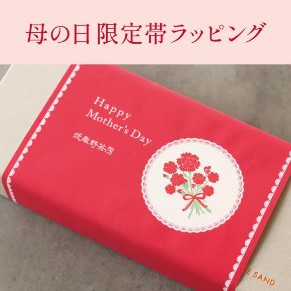 【季節限定】武蔵野茶房 チーズケーキサンド〈 プレーン & いちごベリー 〉セット06