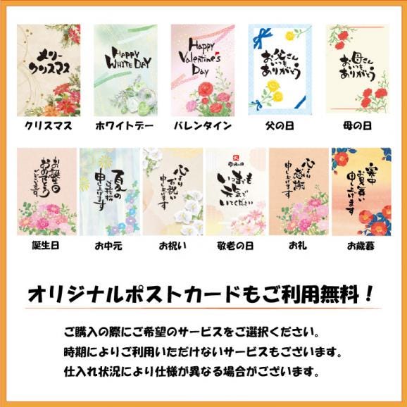 【専用木箱・専用紙袋つき】栗千本（黄金）※送料無料（沖縄、北海道、一部地域除く）詳細は「送料・お届け日確認」05