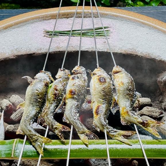【祇園 丸山】《期間限定》炭火焼天然あゆ・岩魚のうどん02
