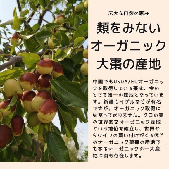 NATSUME CRUNCHYなつめクランチORGANIC05