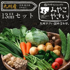 九州で摂れた美味しい野菜をタマチャンショップが選りすぐりでたっぷり13品詰めてお届け！