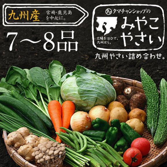九州野菜ミニミニお試しセット 【送料無料】01